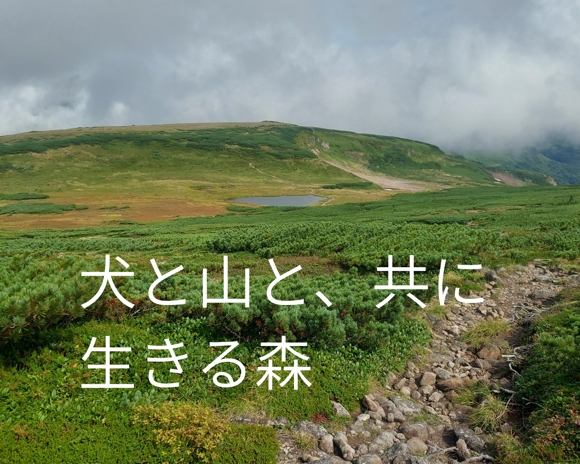 60代ソロ登山とフレンチブルの日記